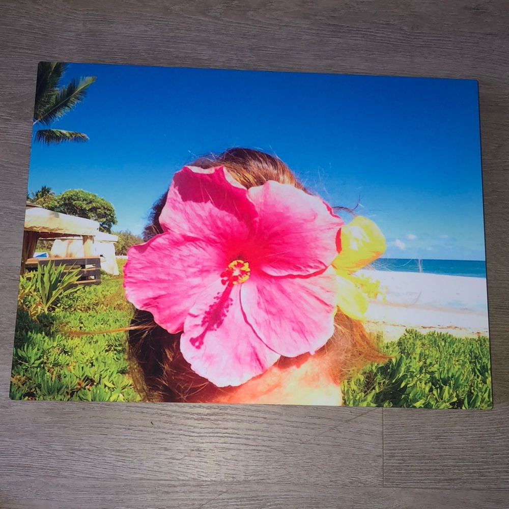 Kauai metal print picture